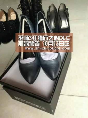  2026年最佳英雄联盟投注网站