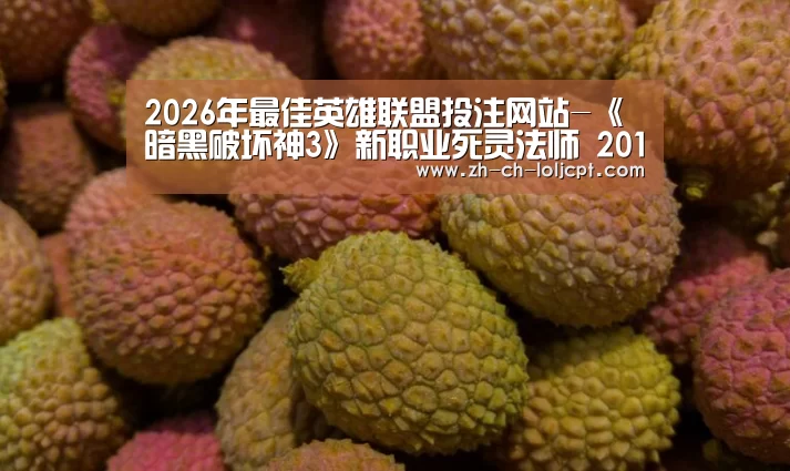 LoL投注网站 