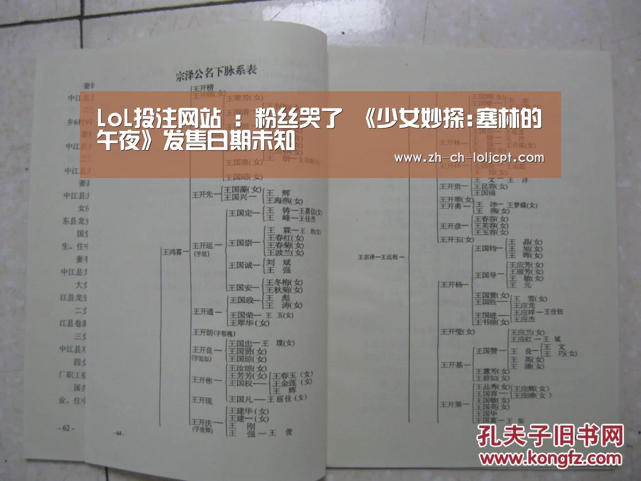 LoL投注网站 :粉丝哭了 《少女妙探:塞林的午夜》发售日期未知(图1) LoL投注网站