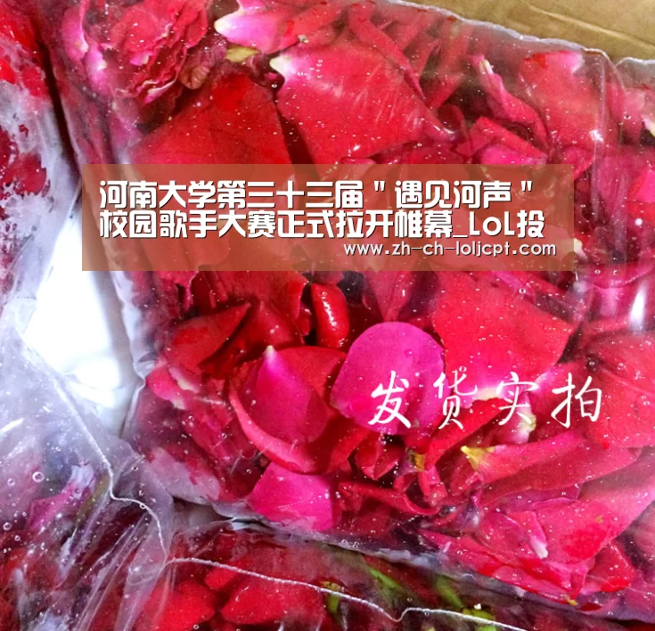 LoL投注网站 