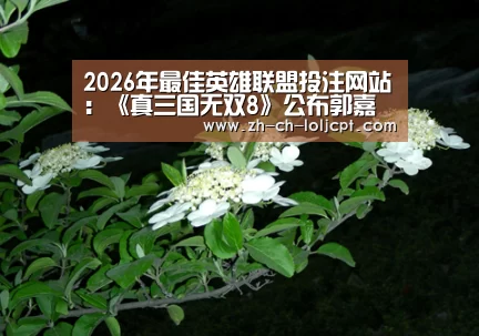  2026年最佳英雄联盟投注网站